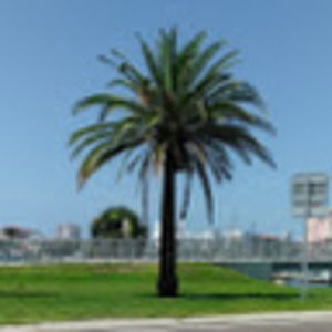 Meet your Posher, Gail